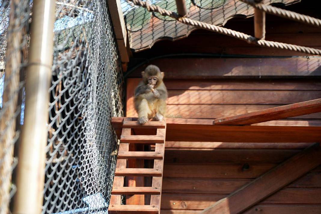 Otobüsle gönderilen koliyi kimse almayınca şoke eden gerçek ortaya çıktı! Hiç kimse bu kadar absürtlüğü tahmin edemezdi 23